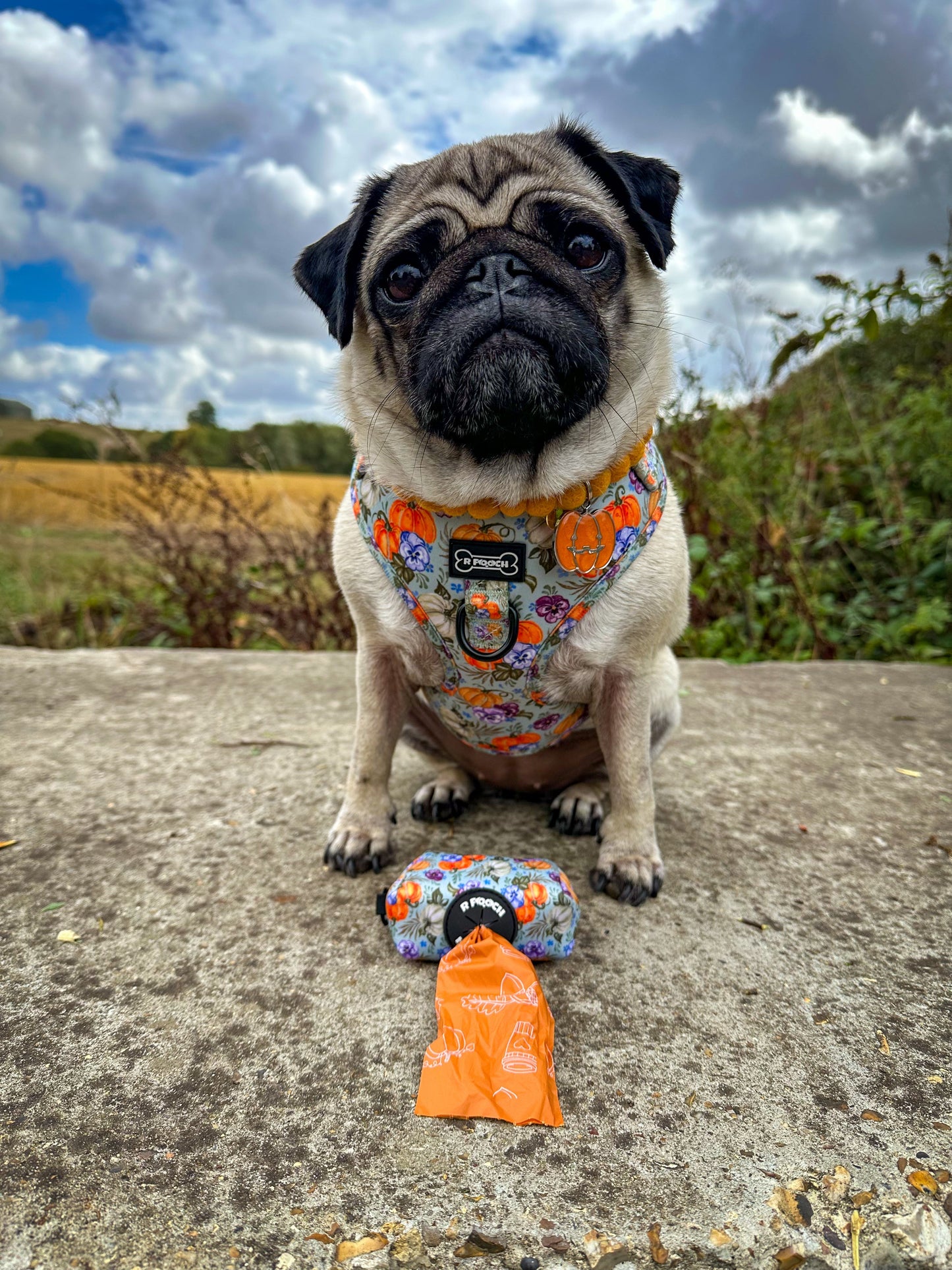 Autumn Compostable Dog Poo Bags (Limited Edition) 🍂