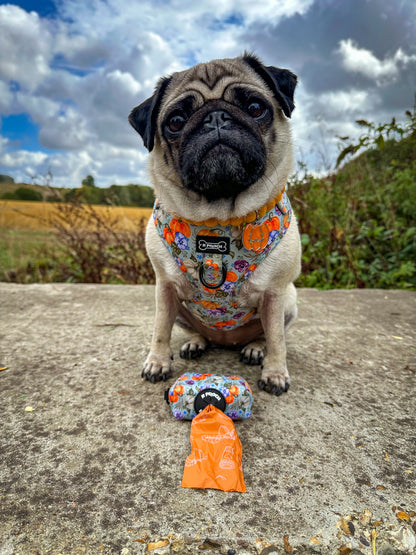 Autumn Compostable Dog Poo Bags (Limited Edition) 🍂