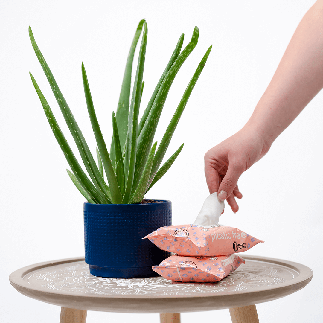 Compostable Pet Wipes 25pk