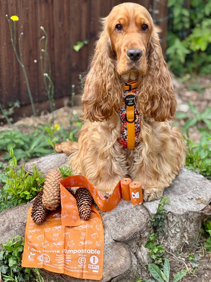 Autumn Compostable Dog Poo Bags (Limited Edition) 🍂