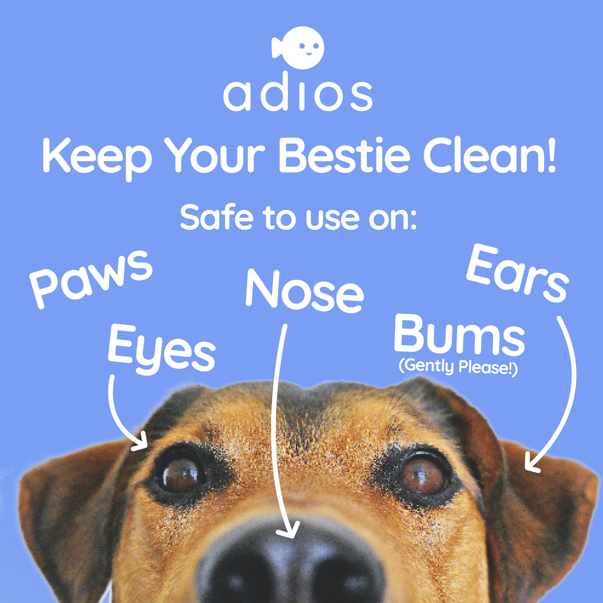 Compostable Pet Wipes 25pk